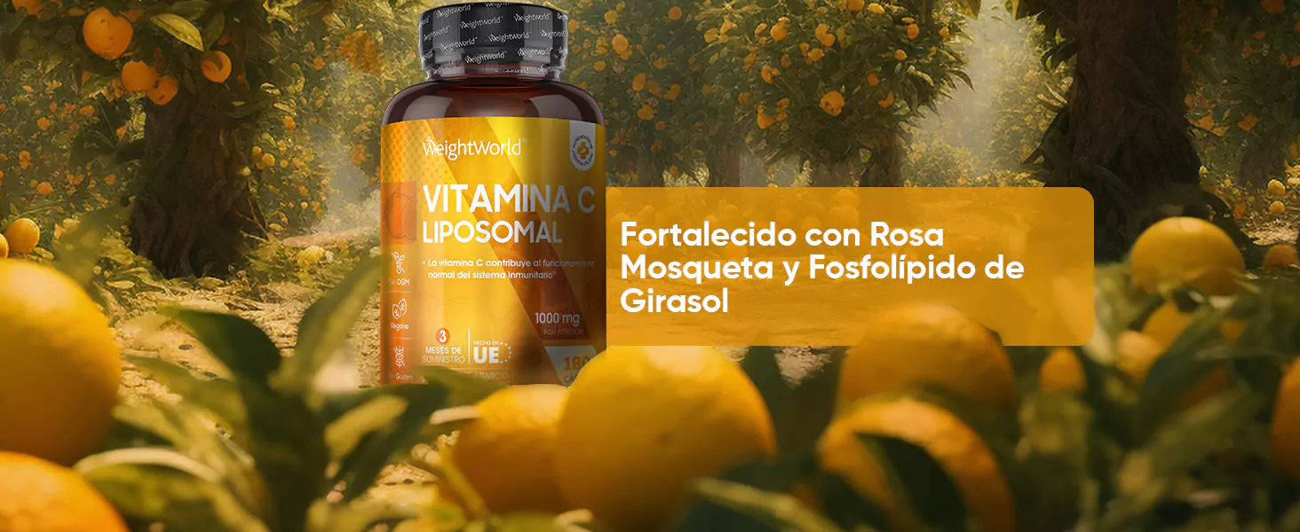 Vitamina C con Rosa mosqueta y fosfolípido de girasol