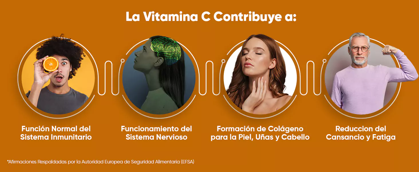 Propiedades de Vitamina C Liposomal, según EFSA