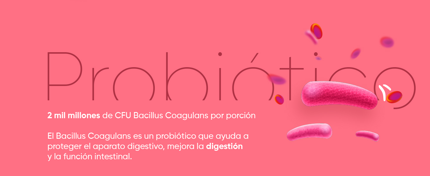 Probióticos con Bacillus Coagulans