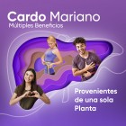 Cápsulas de extracto de cardo mariano